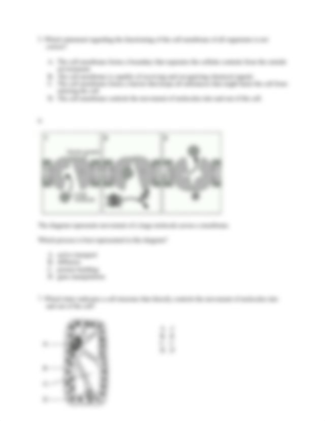 Practice Questions 1 Cell membrane-1.pdf_dtu3zmzex77_page2