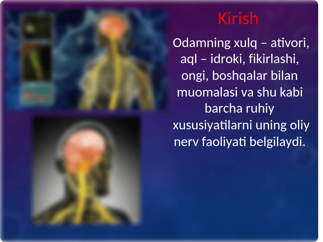 Nerv sistemasining ahamiyati va uning gigiyenasi.ppt_dtu5gj2nv5c_page3