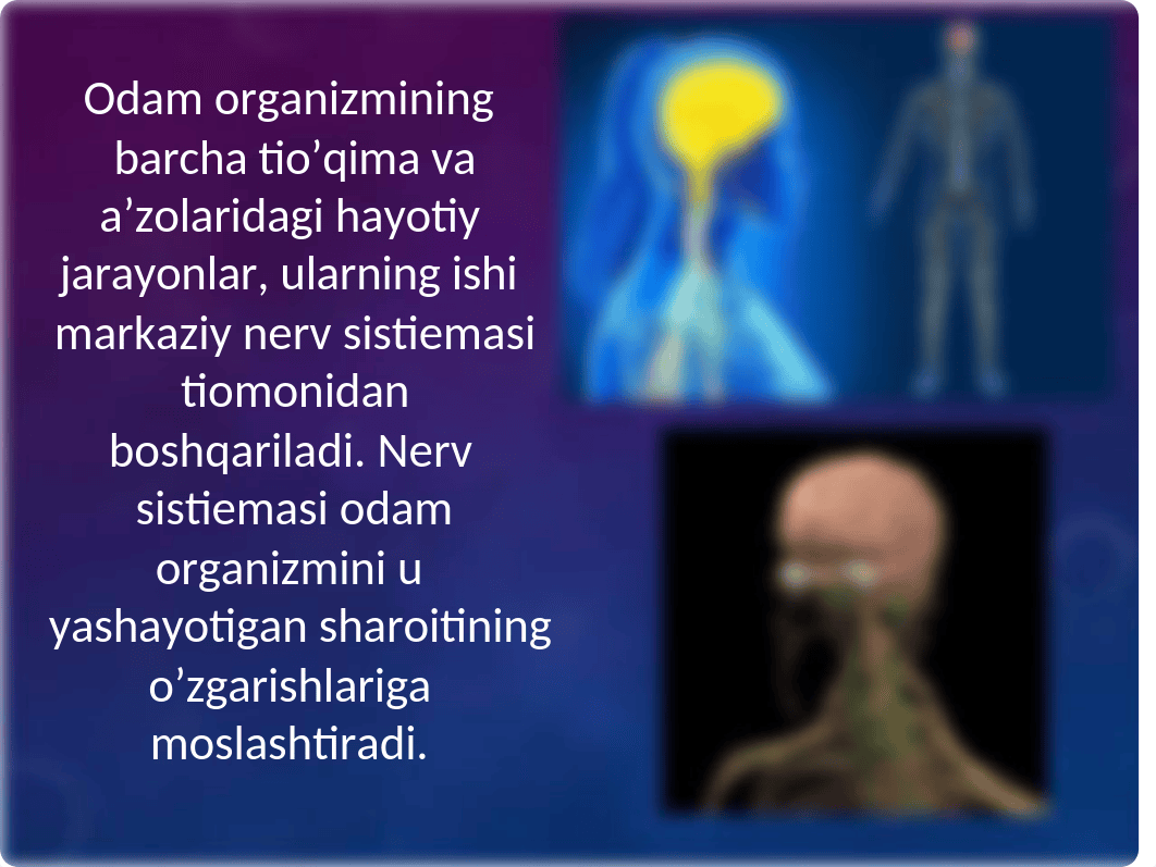 Nerv sistemasining ahamiyati va uning gigiyenasi.ppt_dtu5gj2nv5c_page5