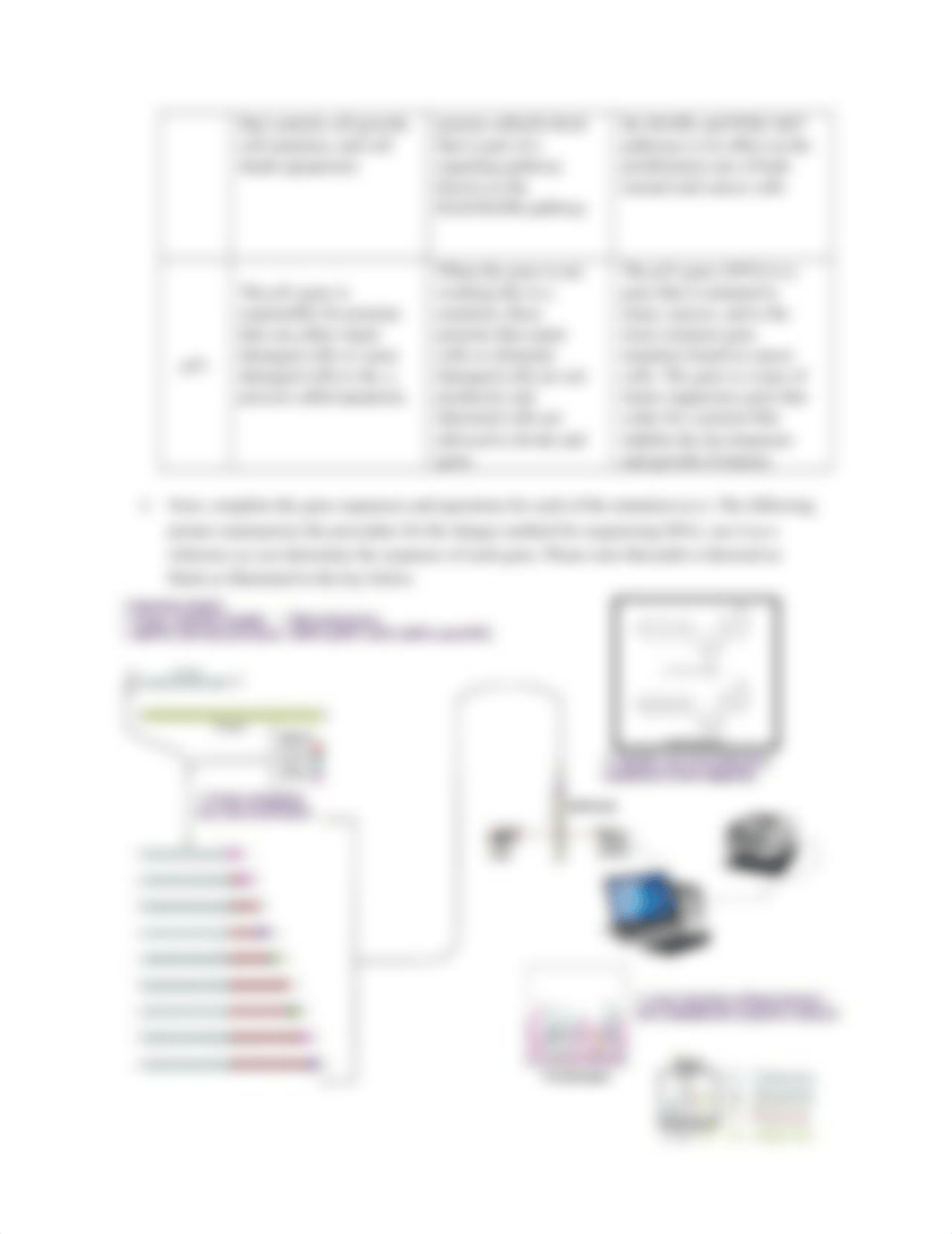 Nucleotide and Gene Mutation Lab updated.docx_dtuce3anz2i_page2