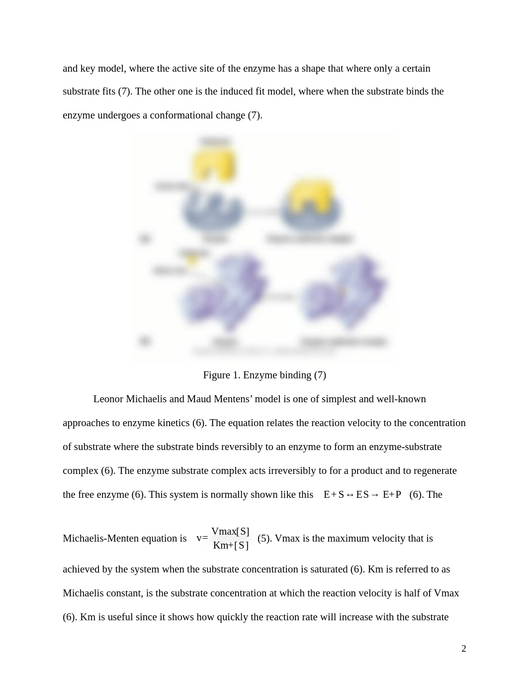 Enzyme kinetics_dtuj9p4hgj9_page2