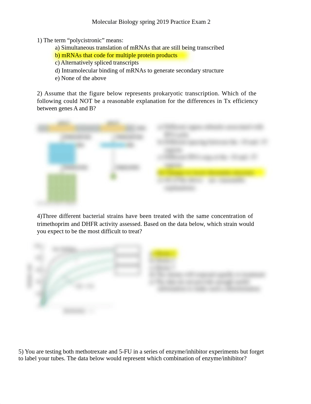 Mol Bio Spring 2019 Practice Exam 2.docx_dtumepj99bv_page1