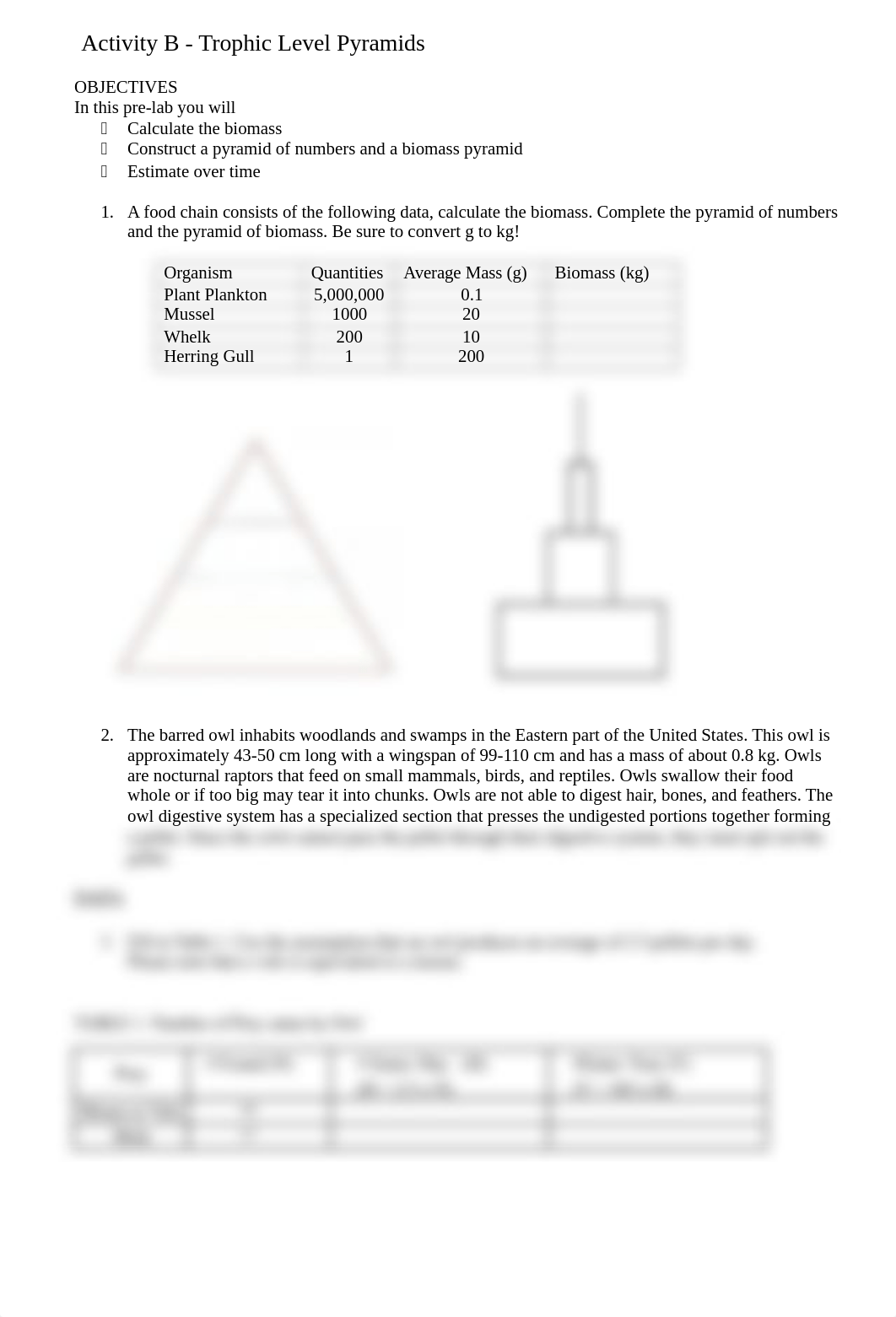 Week 3 - Activity B - Trophic pyramids.docx_dtuxfmr78gr_page1