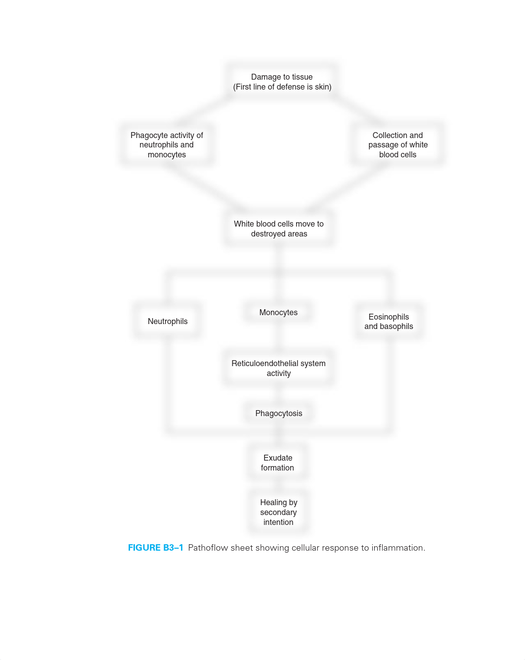 appb3.pdf_dtv1hde4w8k_page2