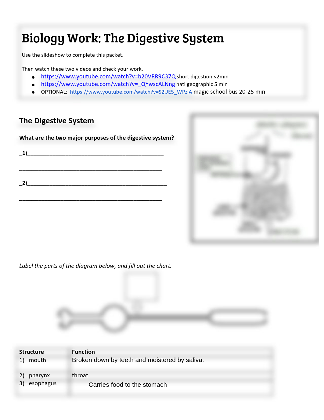 Rikesh Ghimire - DigestiveSystemPacket.pdf_dtv7qc5l8jo_page1