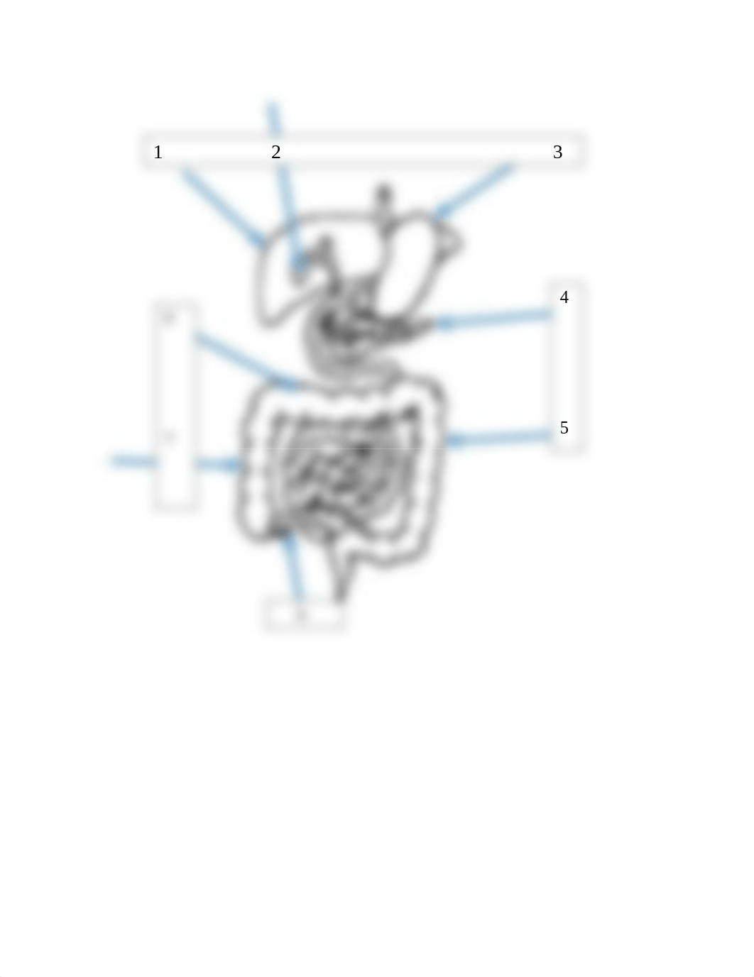 Digestive system AP2 lab labeling homework.pdf_dtv8gixpv8v_page1