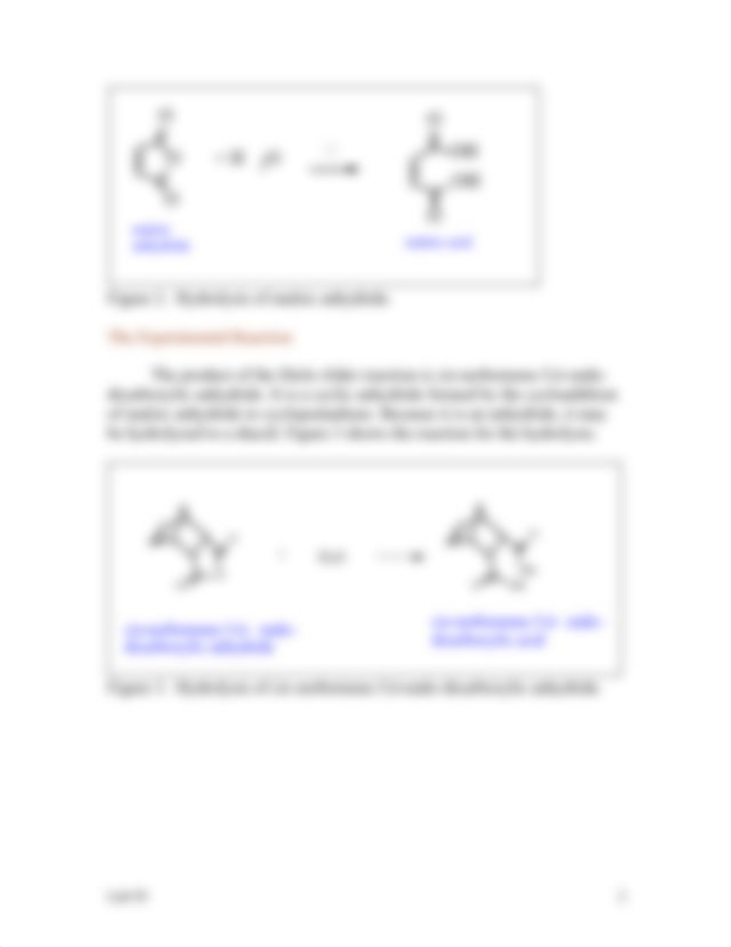 Hydrolysis Reaction Lab_dtvaugqauqb_page2