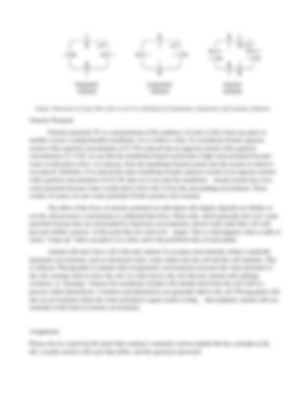 Lab 6- Diffusion and Osmosis Lab_dtvcy24v7mw_page2