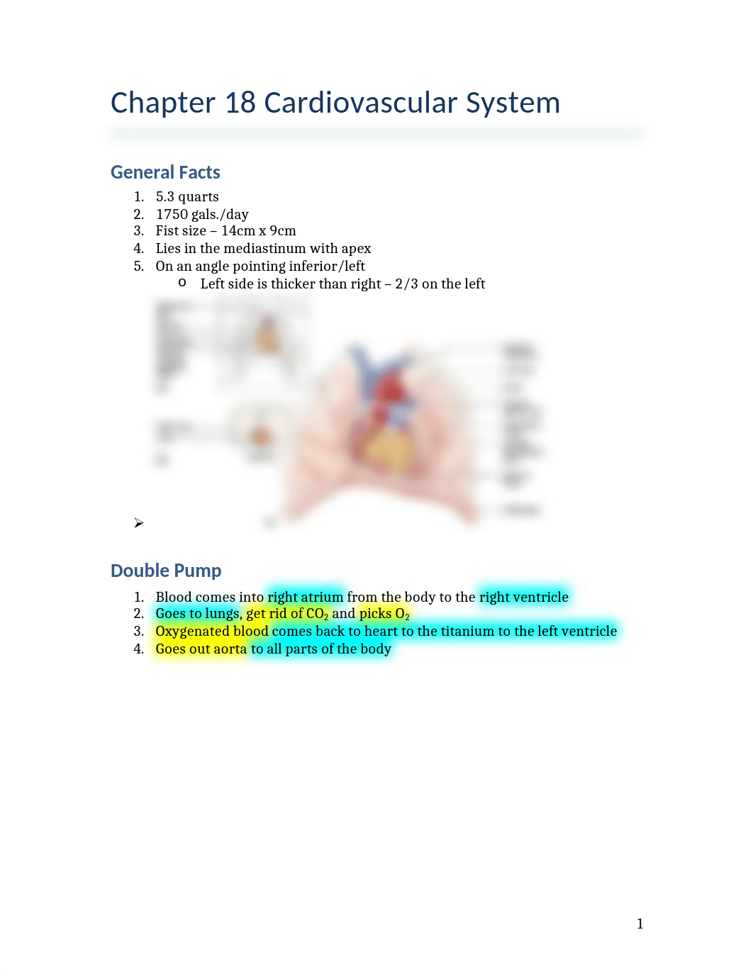 Chapter 18 Cardiovascular System Heart.docx_dtviqgr2vsa_page1