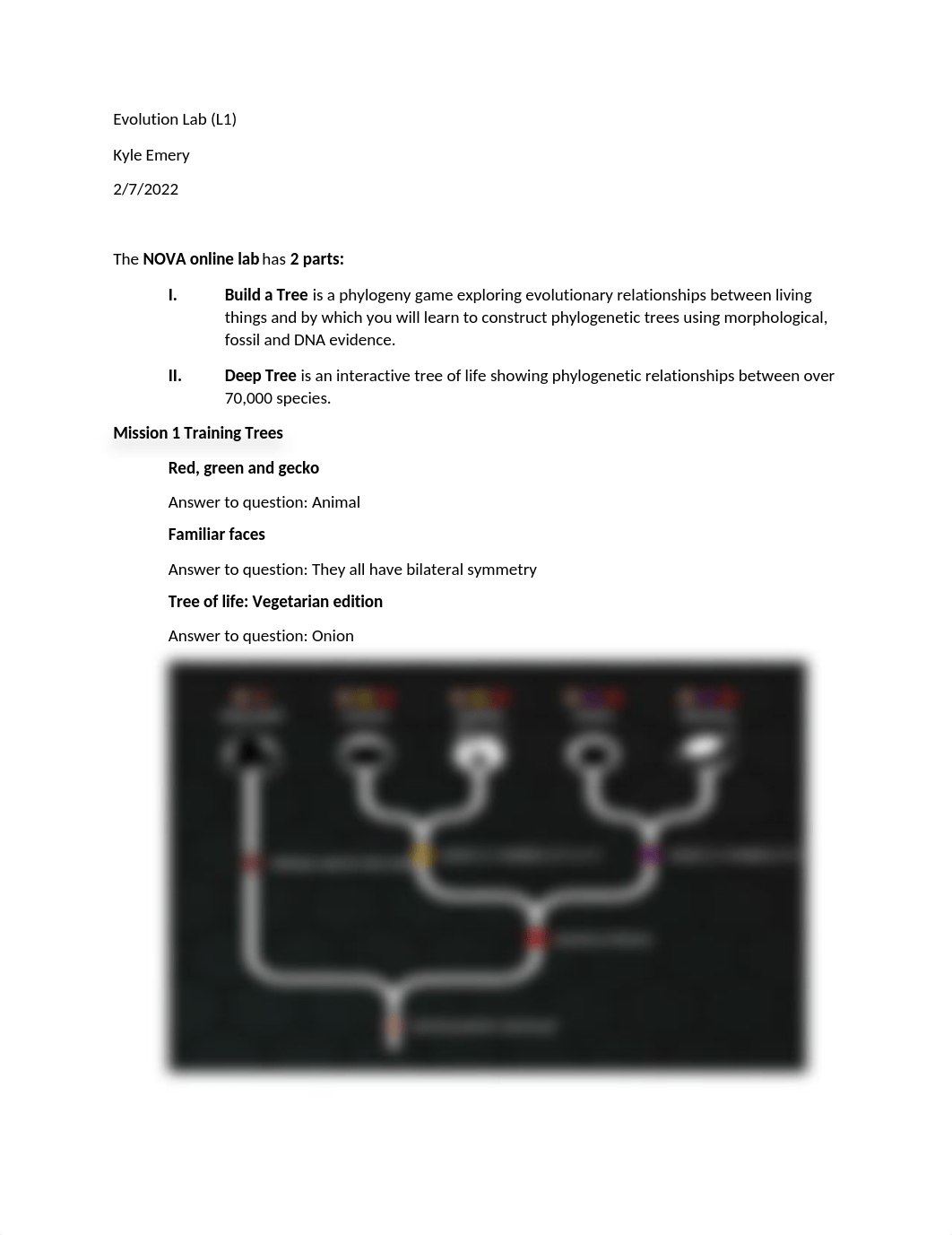 Evolution Lab.docx_dtviz212qi3_page1