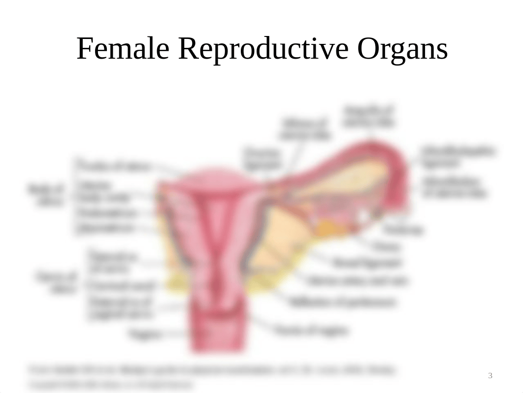 Malignant female disorders- students_dtvkrb4ii5a_page3