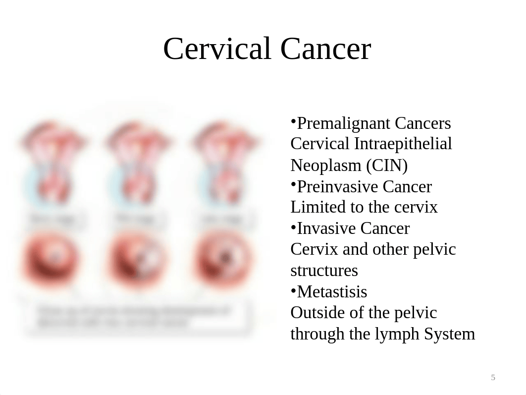 Malignant female disorders- students_dtvkrb4ii5a_page5