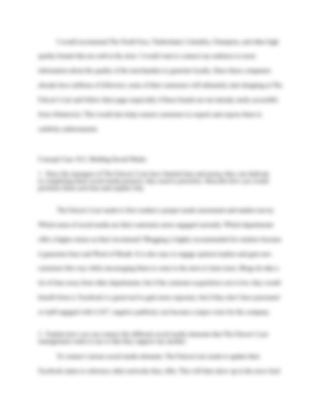 Falcon's Lair Concept Case 10.docx_dtvkstonf7d_page2