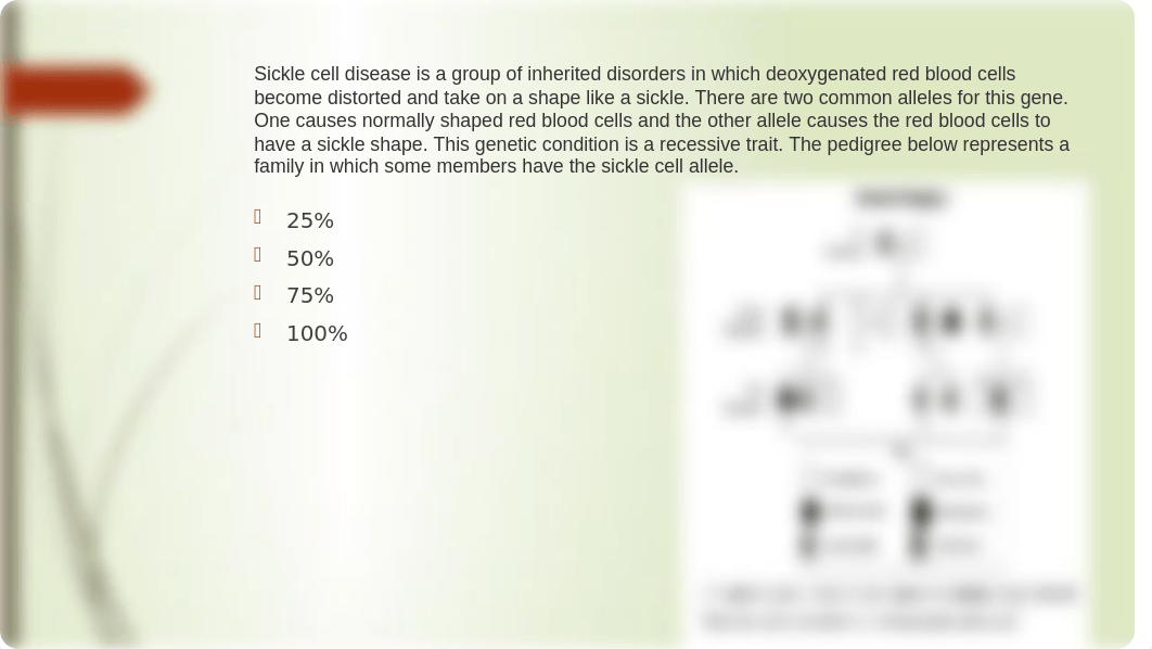 Study Questions for Unit # 6 Test.pptx_dtvq1zzy497_page2