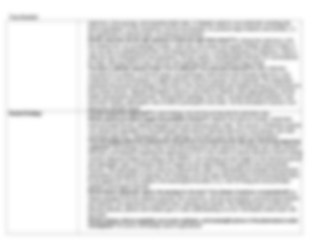 Qualitative Matrix.docx_dtvrh3d35mw_page2