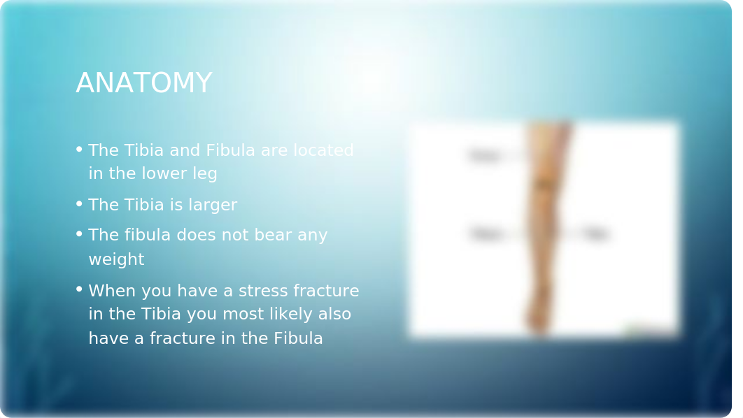 Stress Fracture of Tibia_dtvrvqh8yqs_page2