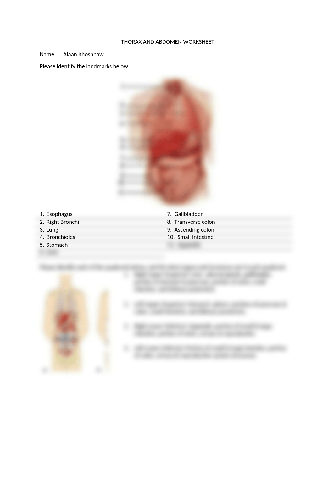 Thorax and abdomen Worksheet DONE.docx_dtw1nbdg69x_page1