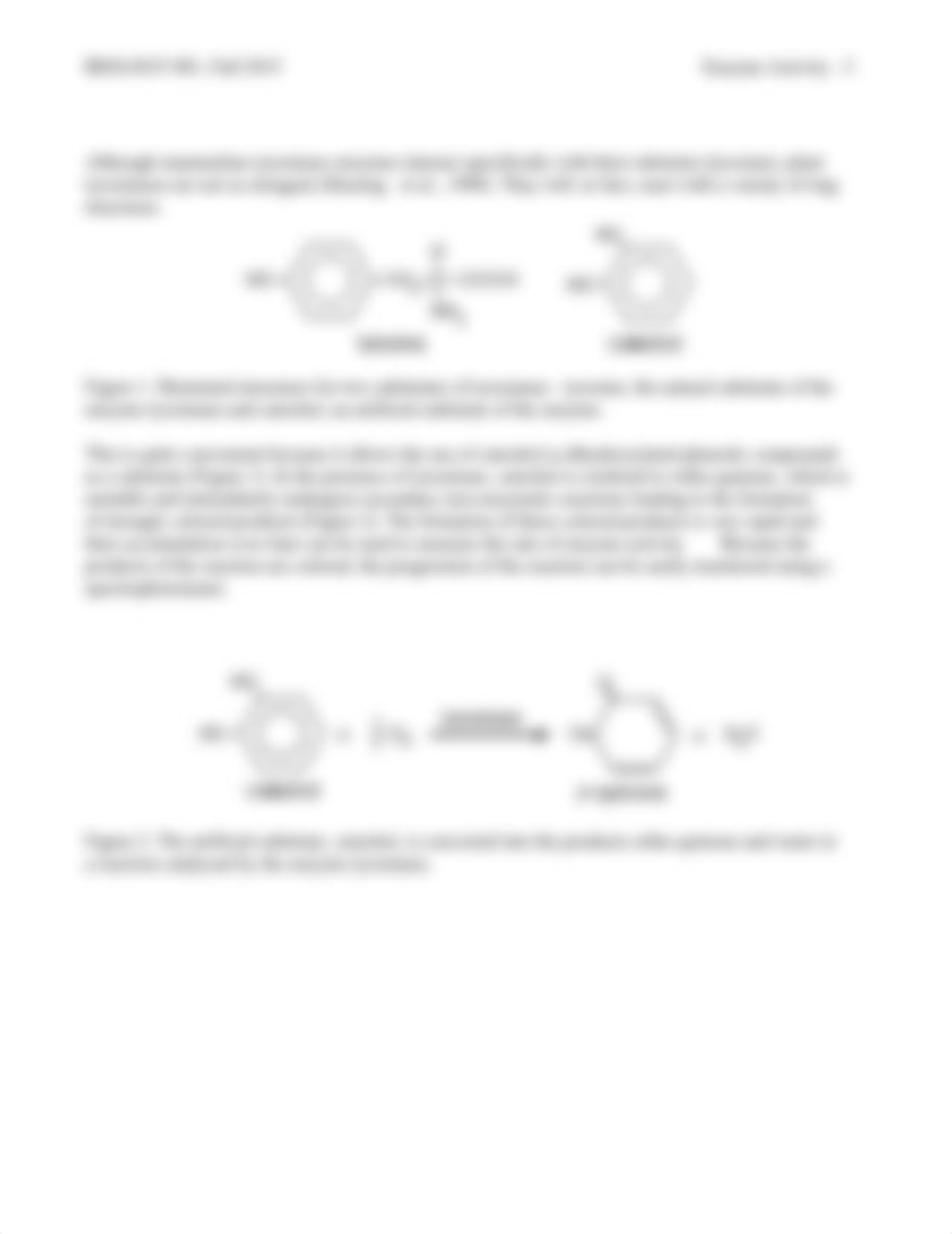 LabII, III and IV. Tyrosinase Activity .pdf_dtwfw3tr5nz_page3