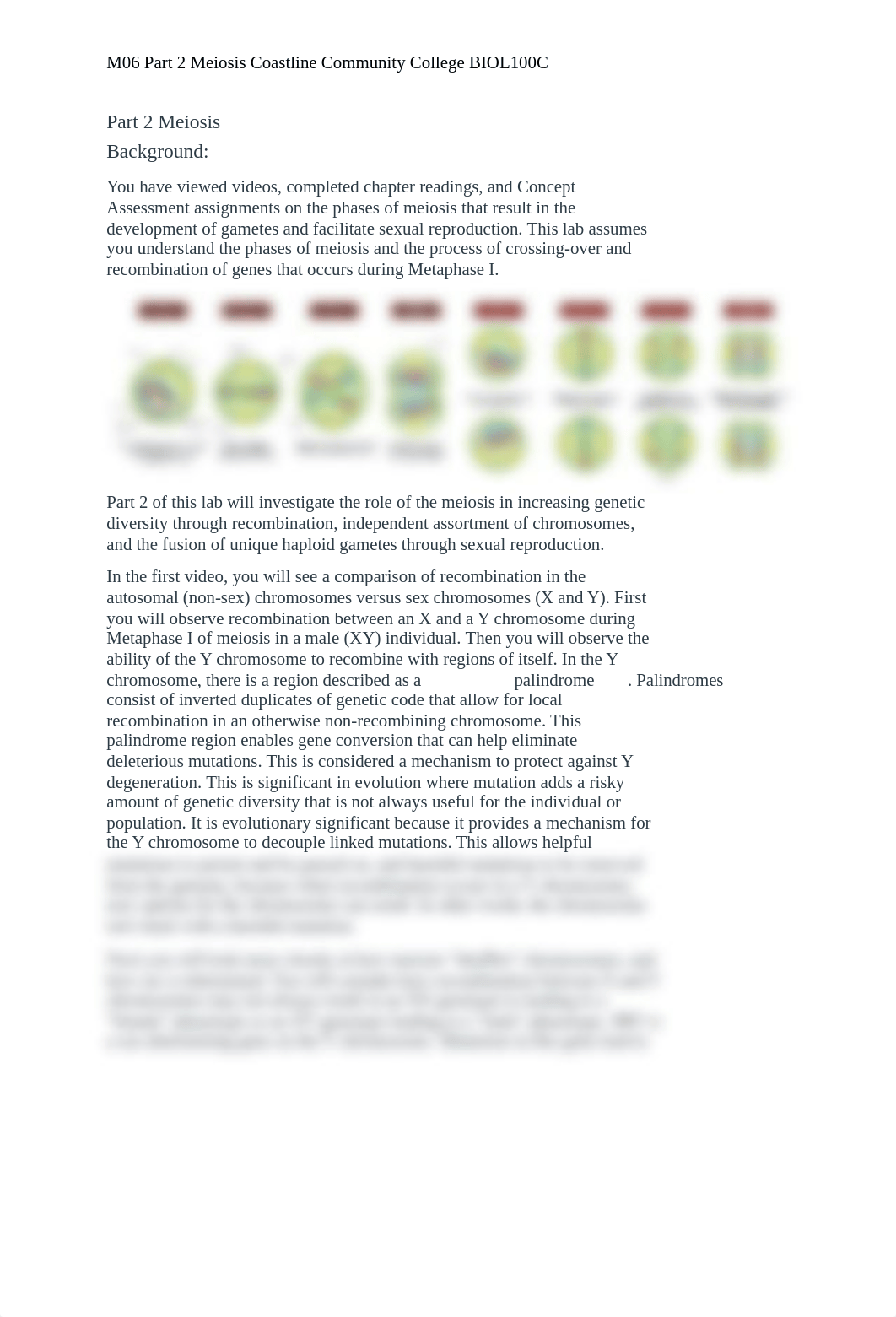 M06 Part 2 Meiosis.docx_dtwmrkieeya_page1