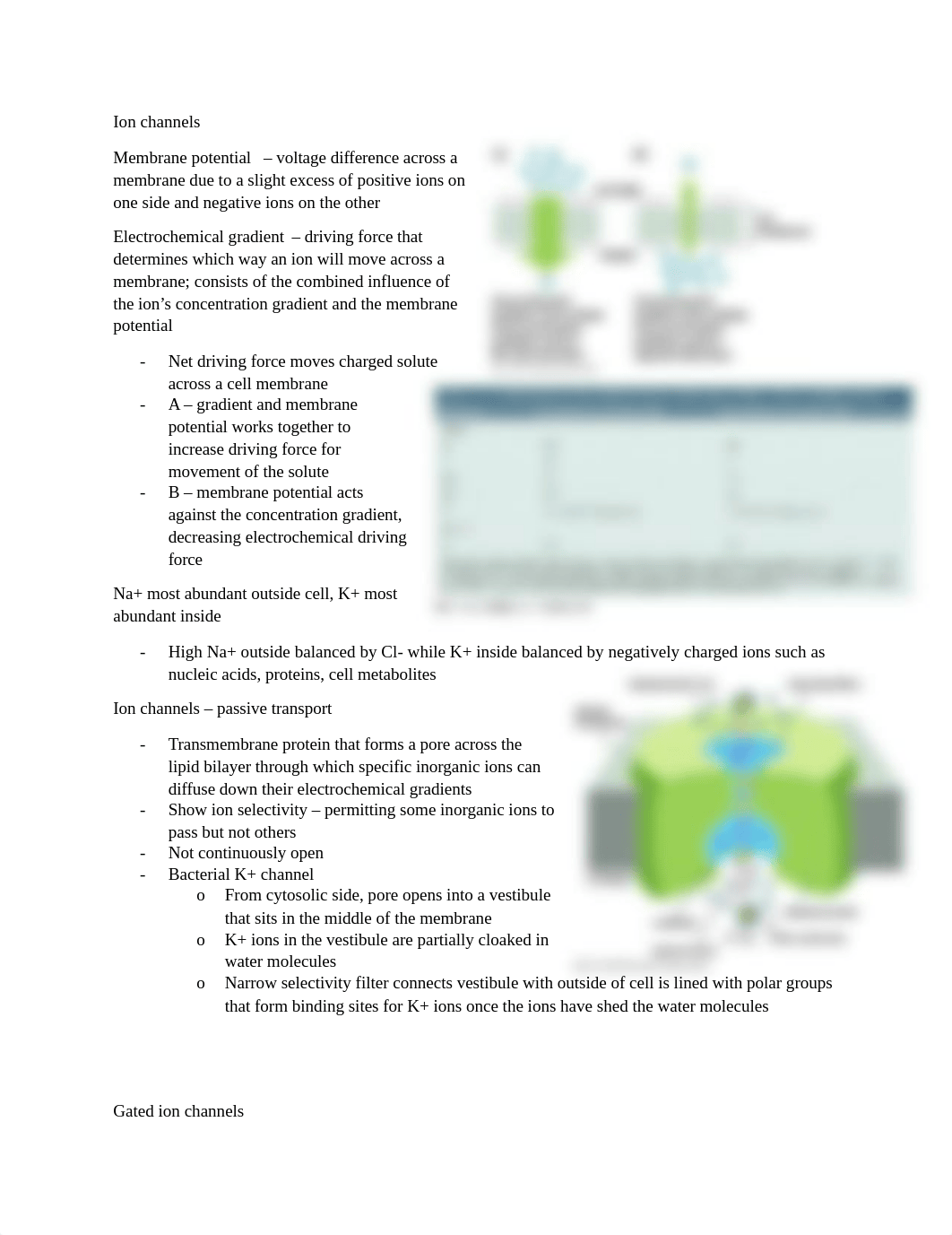 Final exam study guide.docx_dtwn0jej5ww_page1