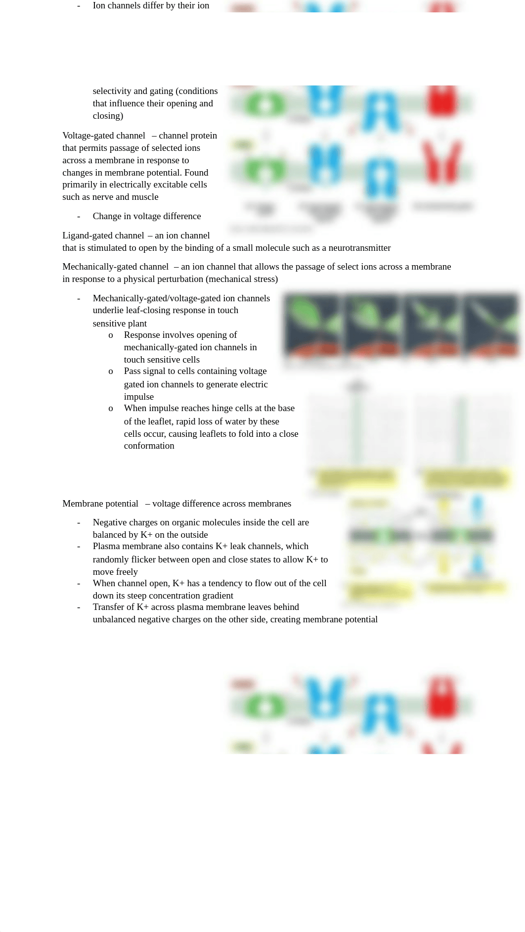 Final exam study guide.docx_dtwn0jej5ww_page2