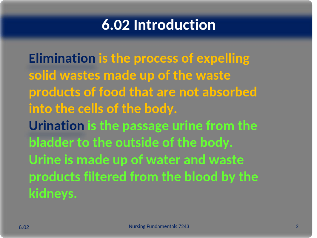 6_02_ppt_elimination_and_urination_needs_4_.pptx_dtwnl0l4cqb_page2