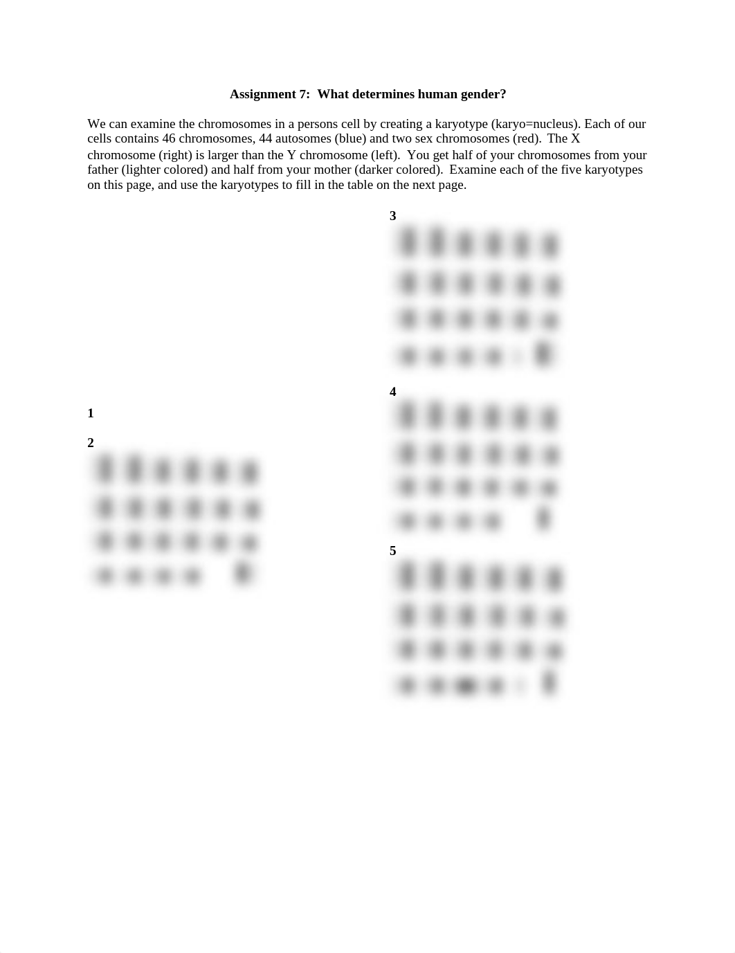 Intro Biology Chromosome Study Guide with Answers_dtwptupwjpe_page1