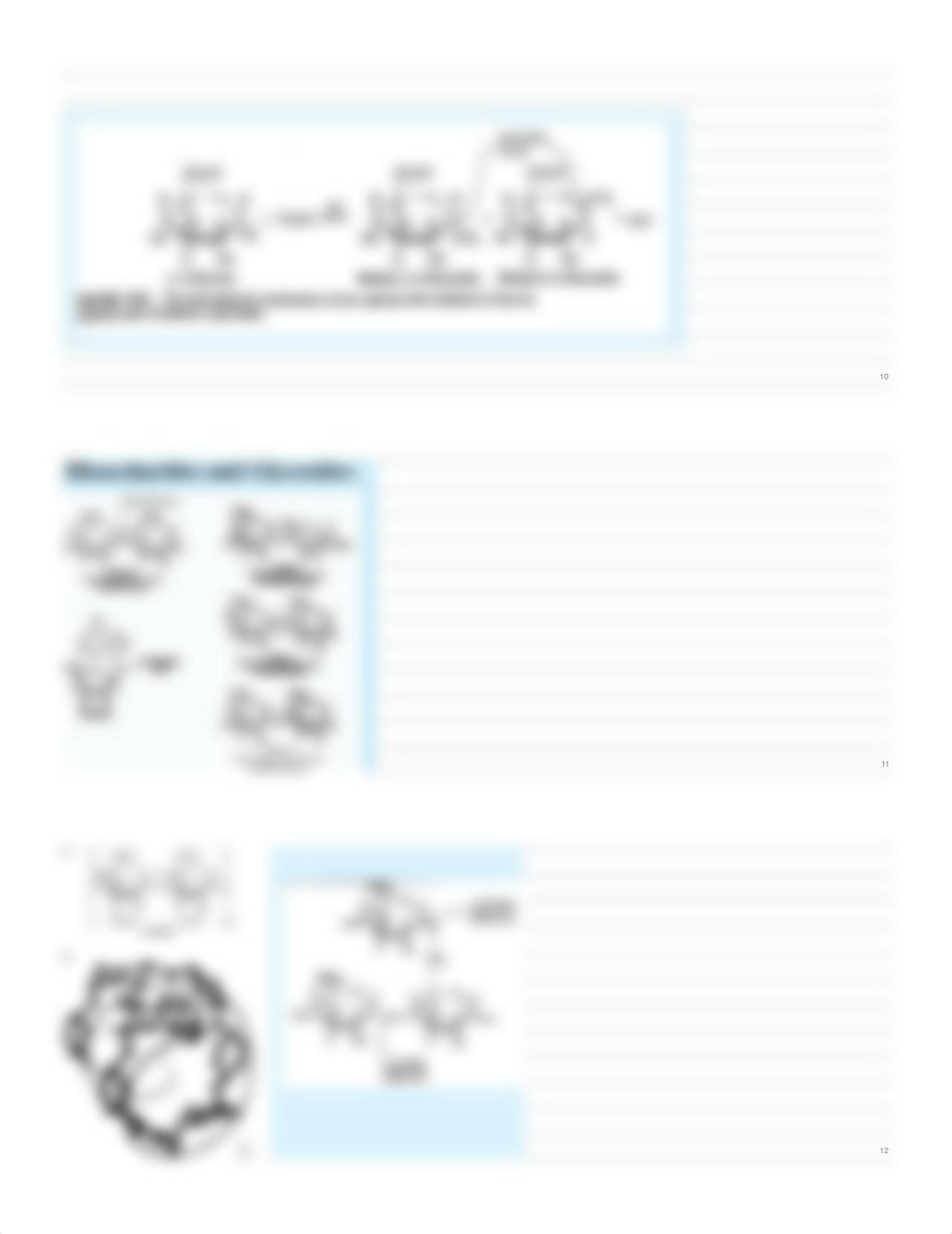 11.20 - Rosenfeld - Carbohydrates and Glycoproteins_dtx247dfcb6_page4