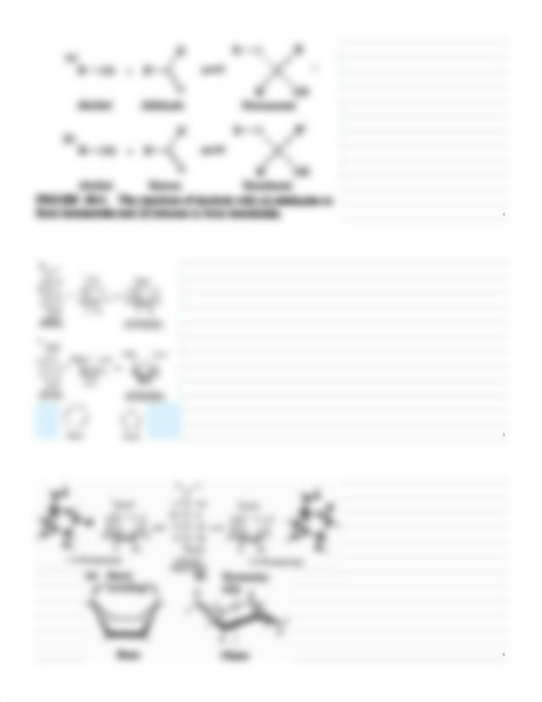 11.20 - Rosenfeld - Carbohydrates and Glycoproteins_dtx247dfcb6_page2