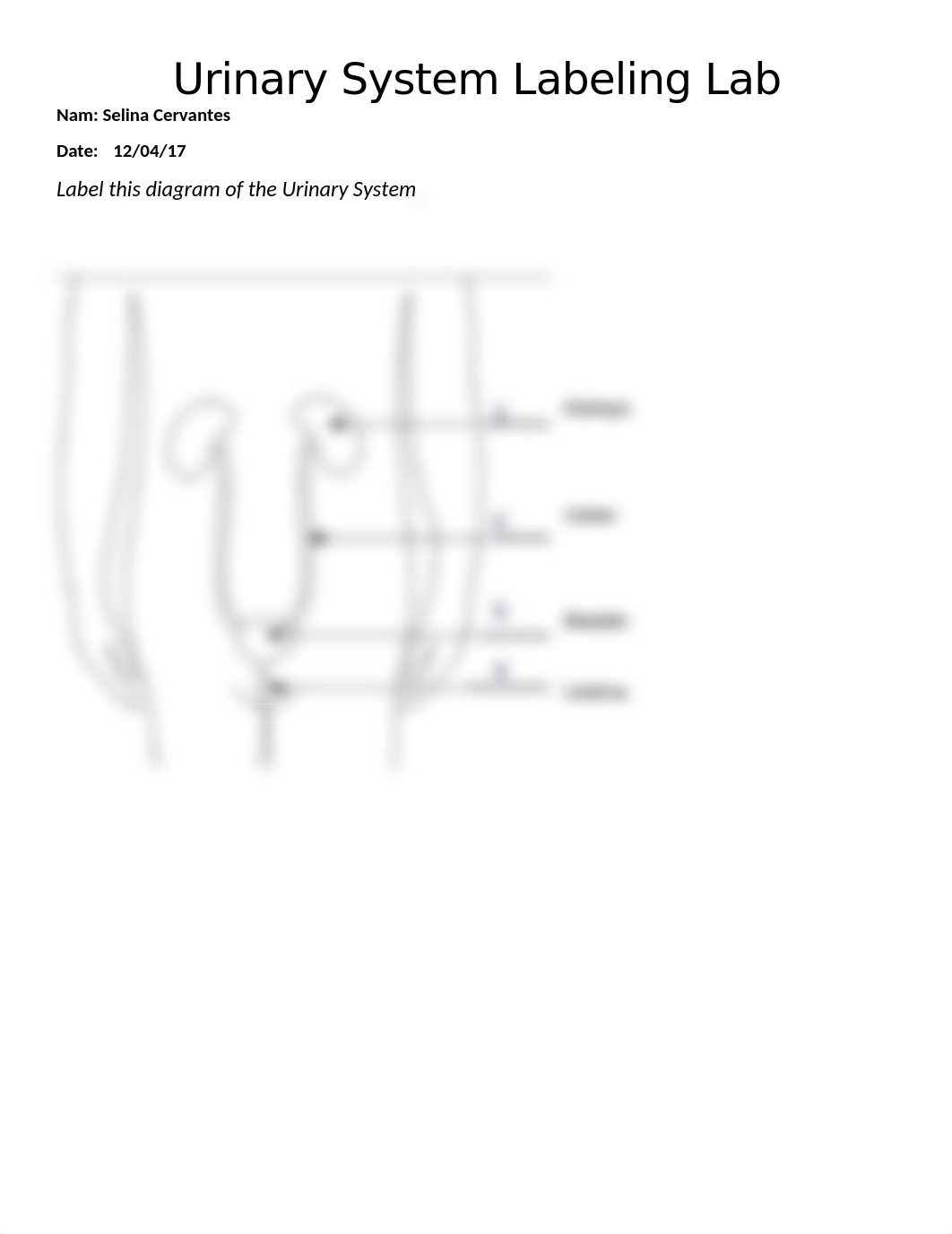 Lab_UrinarySystemLabeling_20171109_AH101 (1).docx_dtx9luyg5ds_page1