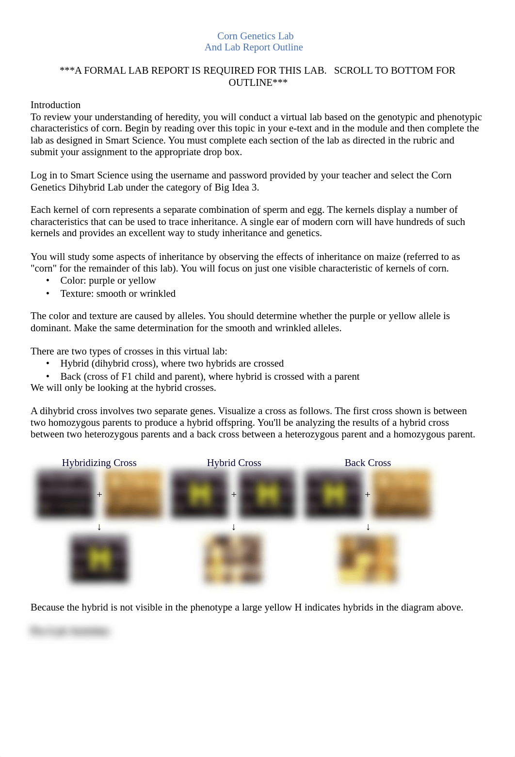 AP Bio Corn Genetics Lab Modified.pdf_dtxavnzqpth_page1