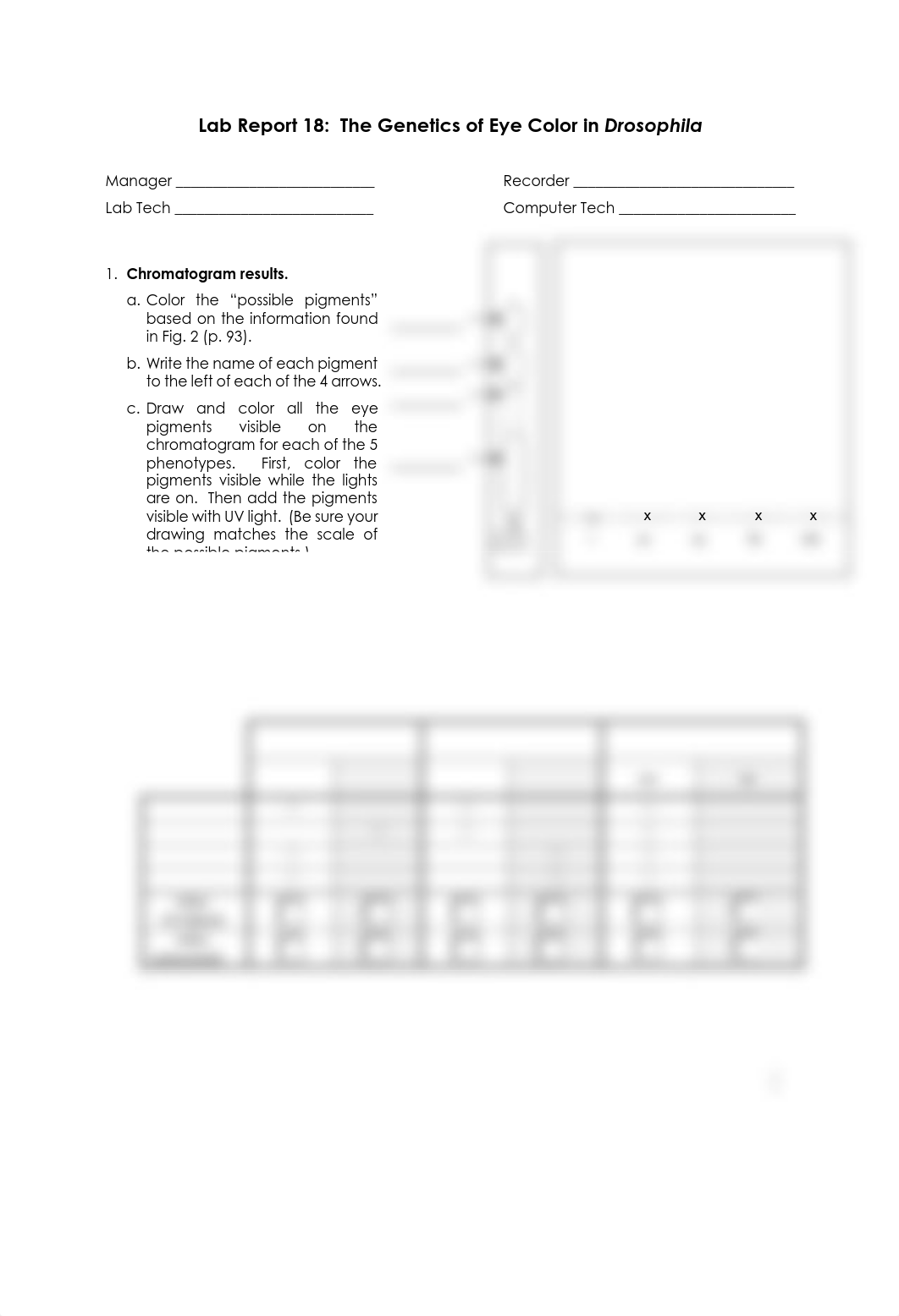 18b Lab Report 18 Genetics of Fly Eye Color.pdf_dtxb1za4lv3_page1