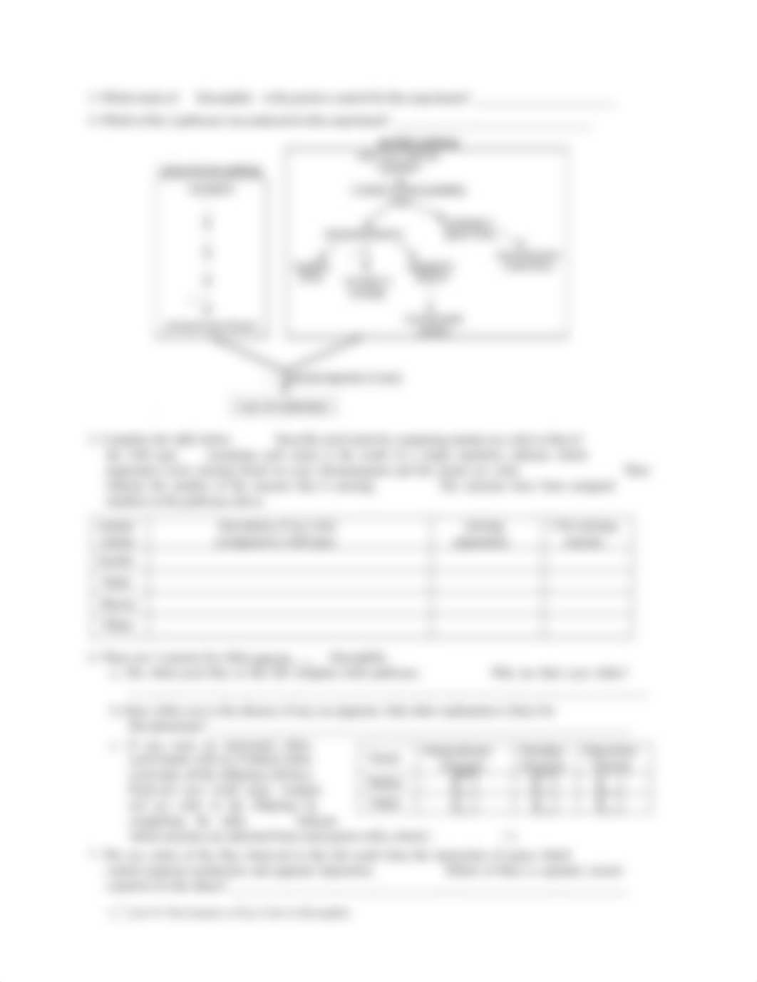 18b Lab Report 18 Genetics of Fly Eye Color.pdf_dtxb1za4lv3_page2