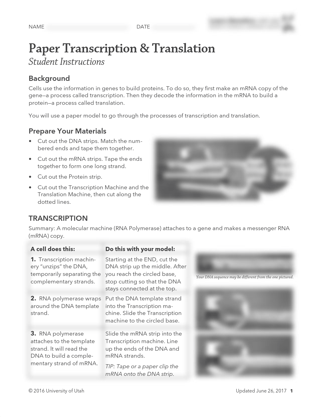 paper transcription translation activity.pdf_dtxcvm2dhsb_page1