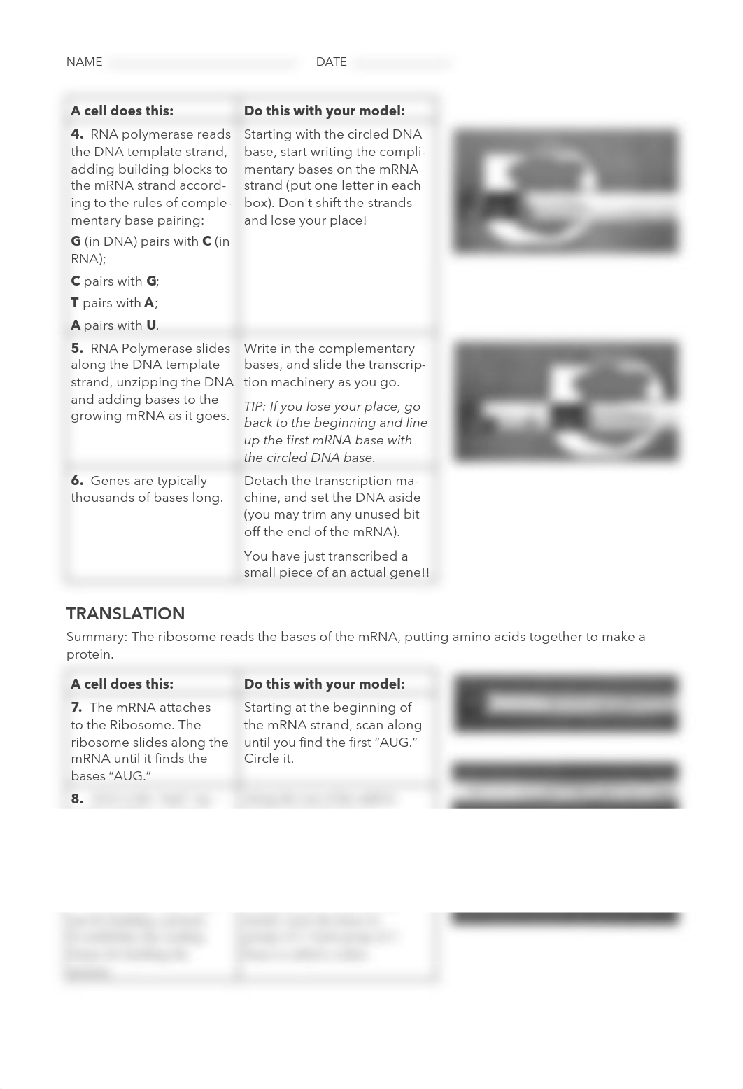 paper transcription translation activity.pdf_dtxcvm2dhsb_page2