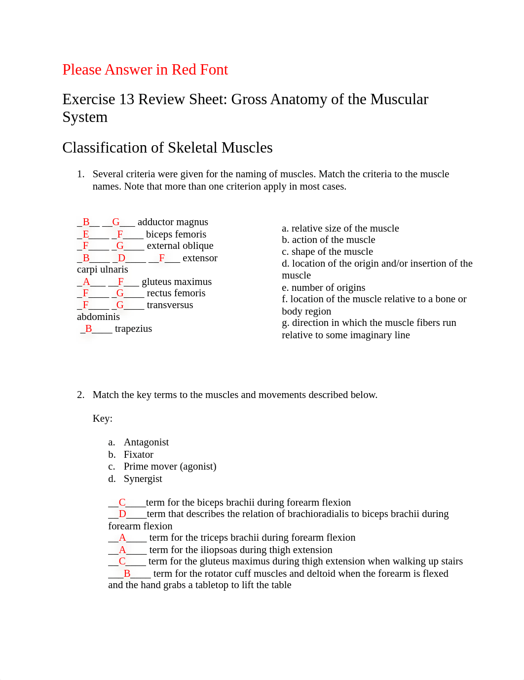 Exercise 13 Review Sheet.docx_dtxl1wzfd8c_page1