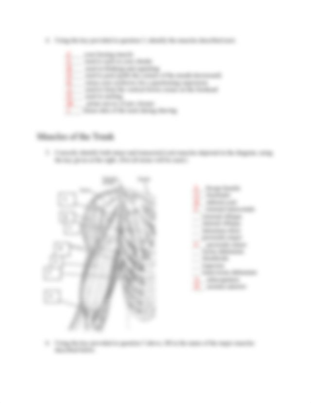 Exercise 13 Review Sheet.docx_dtxl1wzfd8c_page3