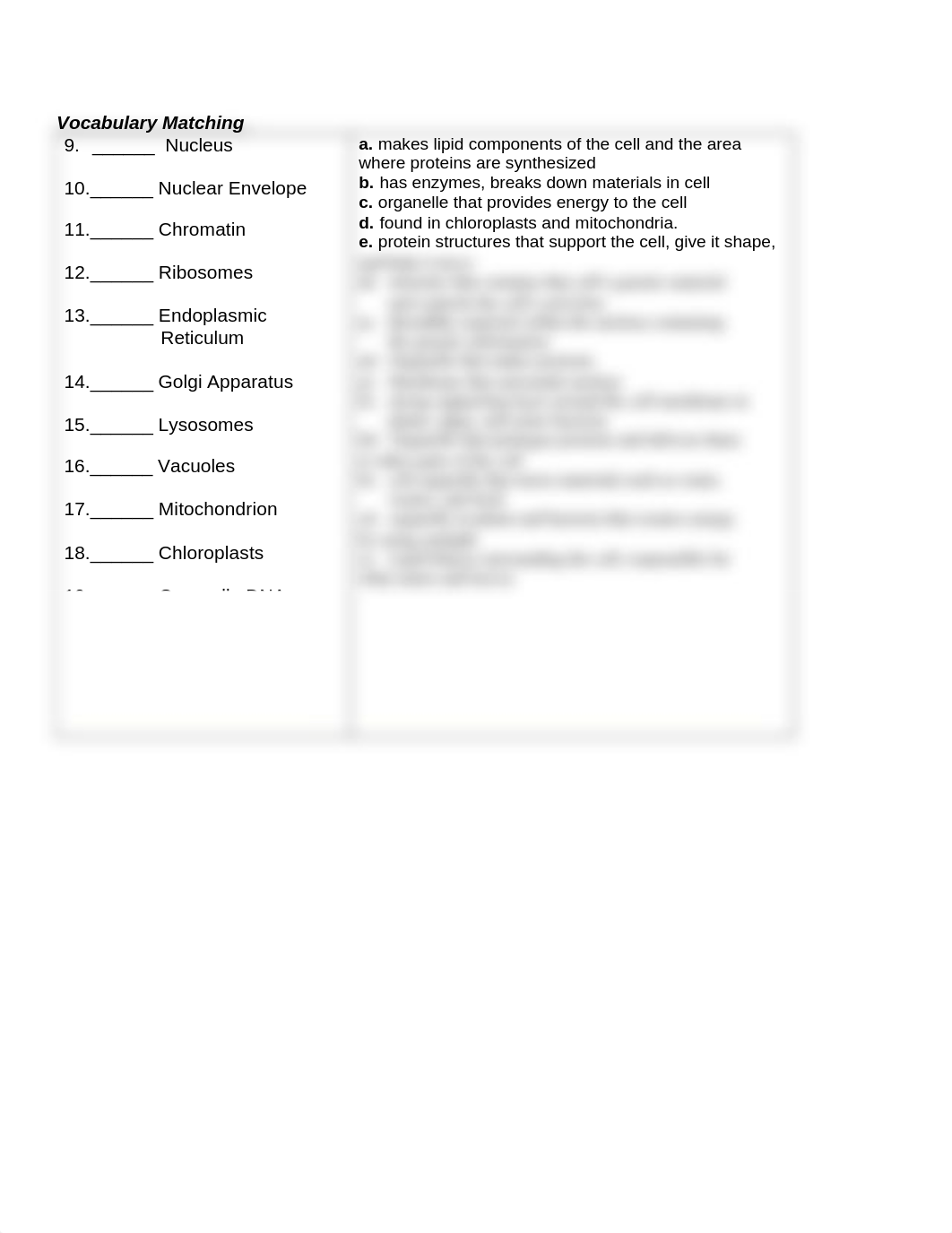 UTF-8''Cell Labeling and organelle function.docx_dtxsip2pntv_page3