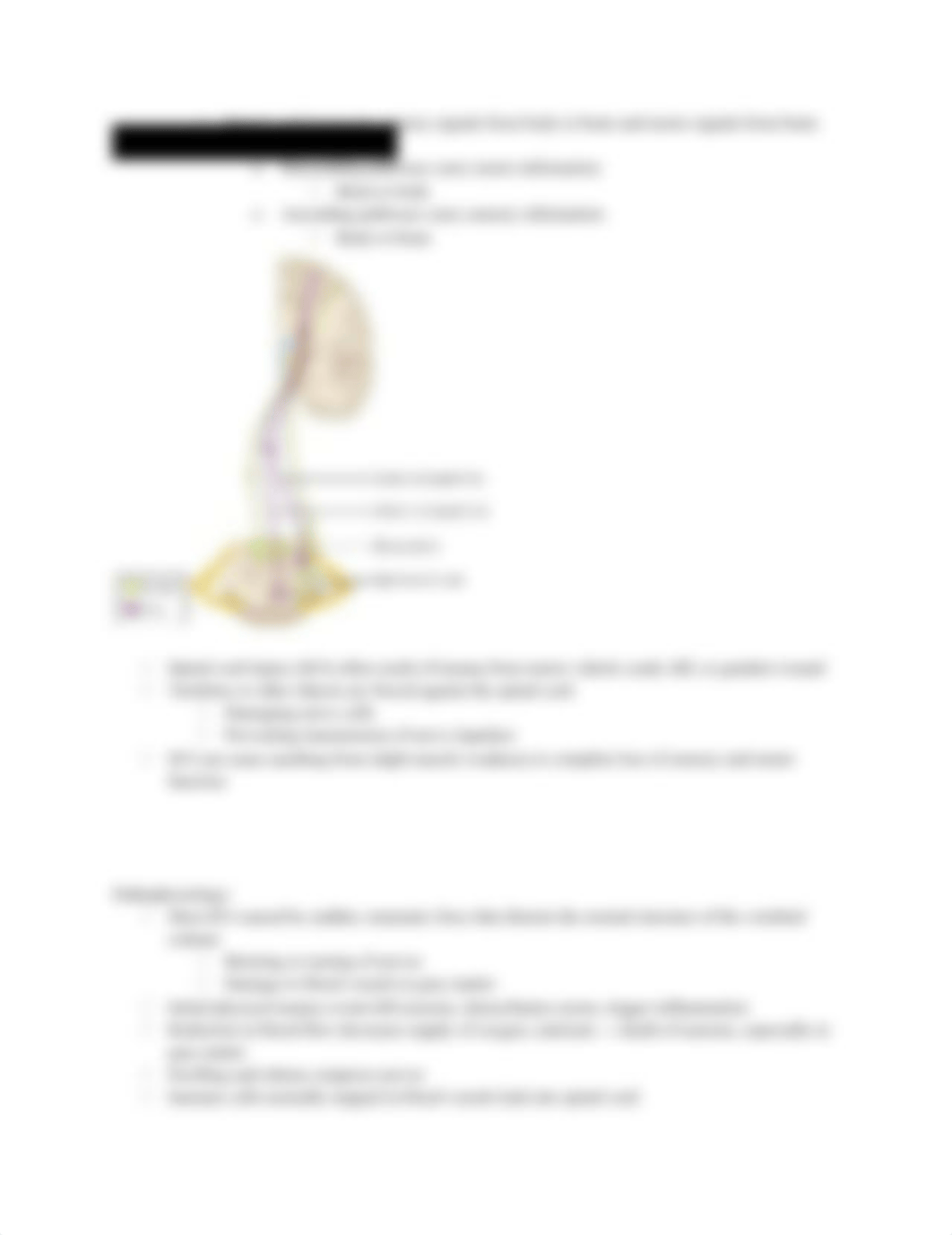 exam 1 mobility spinal cord injury sg.docx_dtxysr3yzqk_page4