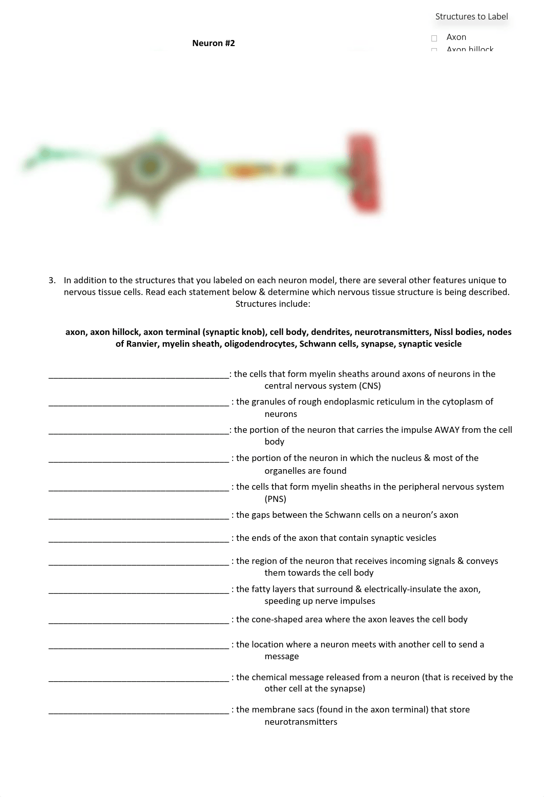 Lesson 8 - Nervous Tissue and Muscles and Bones of the Leg-1.pdf_dty57lfk2pw_page2