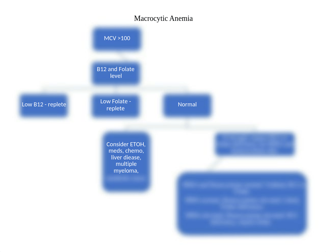 Macrocytic Anemia Algorithm.docx_dty9c93lo9q_page1