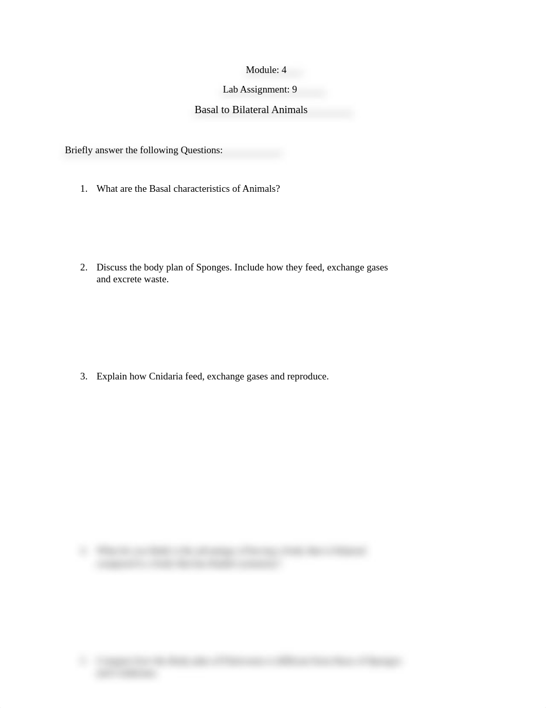 Basal to Bilateral Animals.docx_dtymrt4adt7_page1