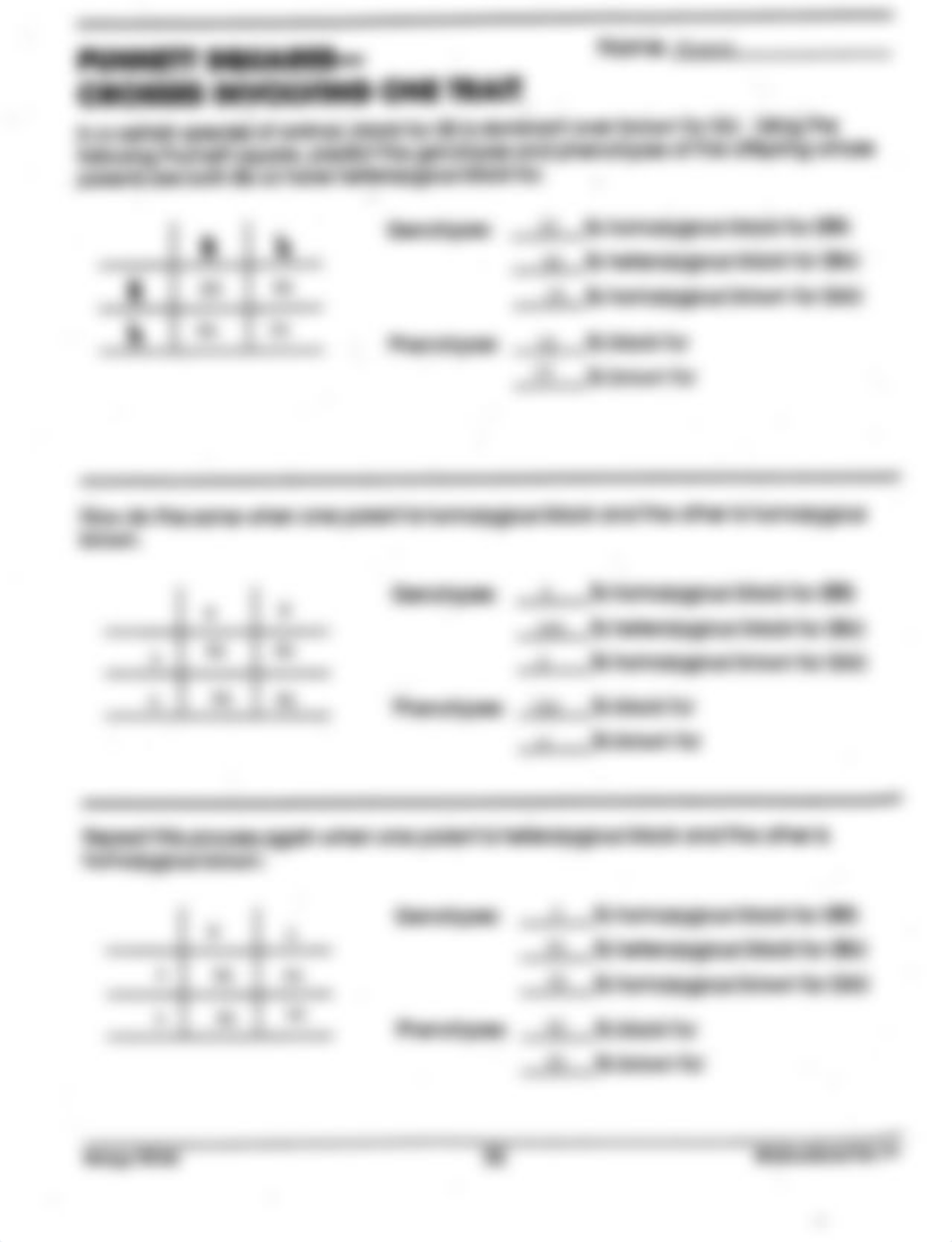 Kami Export - Phoenix Carter - Punnett Squares- Crosses Involving One Trait.pdf_dtynpyzvfrf_page1