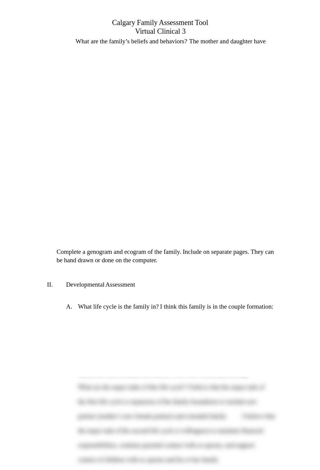 Calgary family assessment tool virtual 3.docx_dtyzoaxhplq_page2