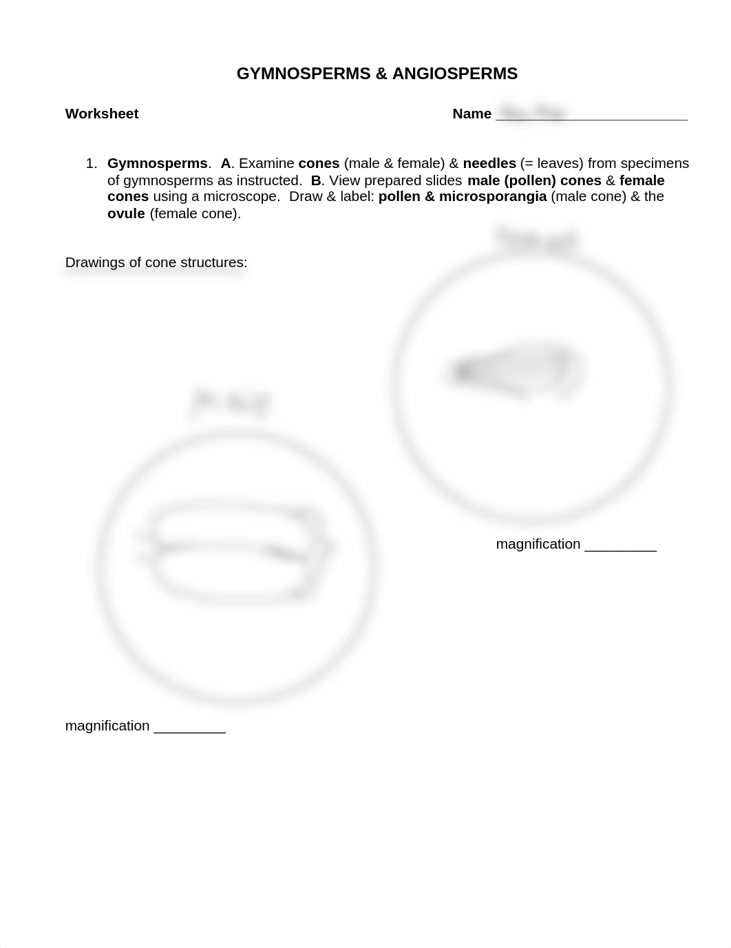 Lab 10.pdf_dtyzrpqqwoa_page1