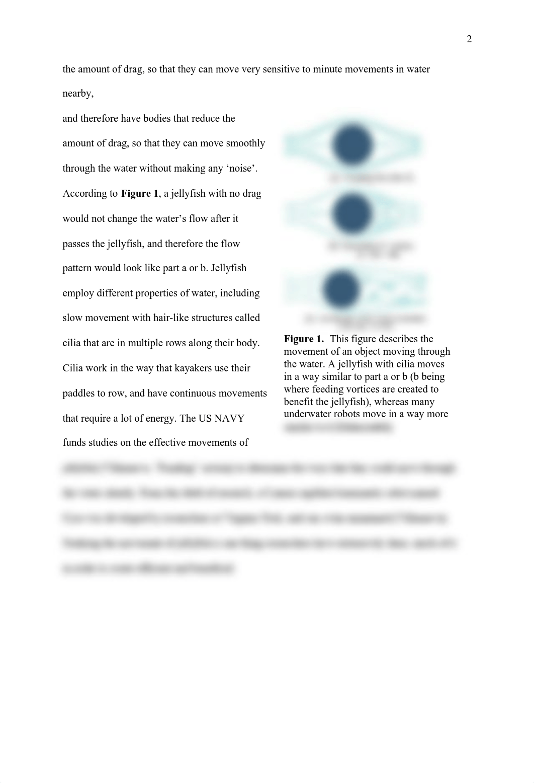 Applications of Jellyfish Research.pdf_dtz0j80algc_page2