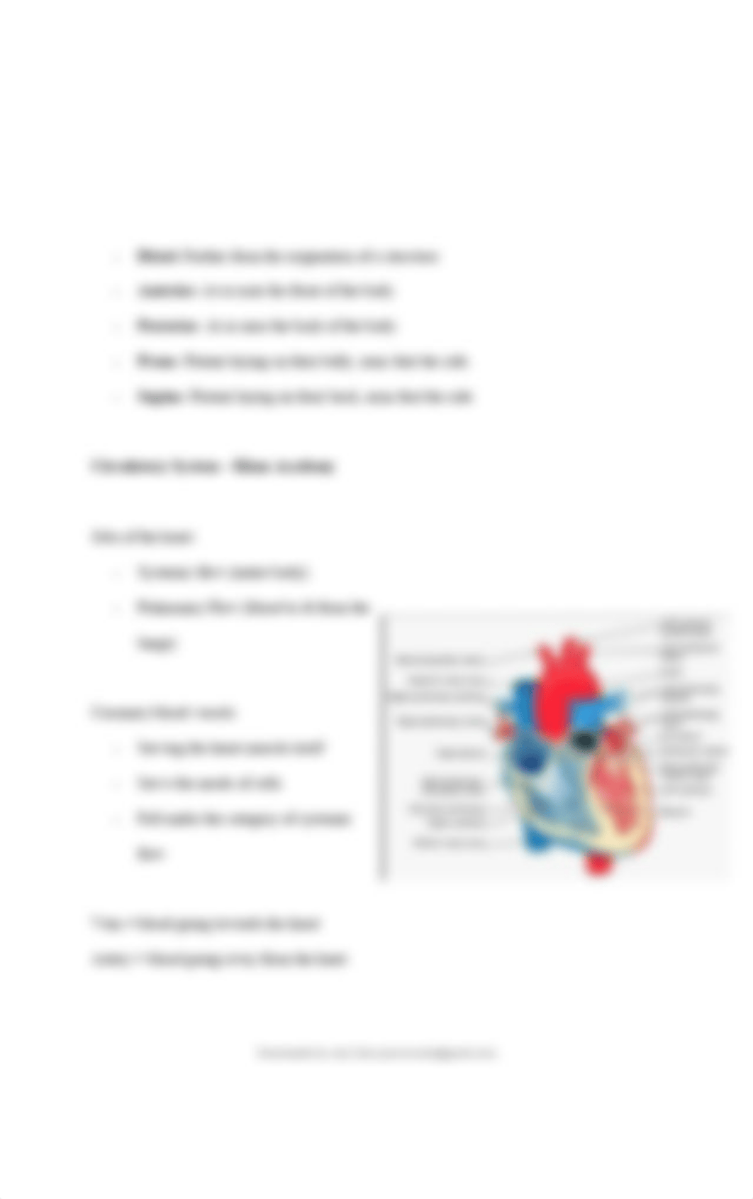 ati-teas-notes-general-anatomy-physiology-of-a-human.pdf_dtz3uhqx80q_page4