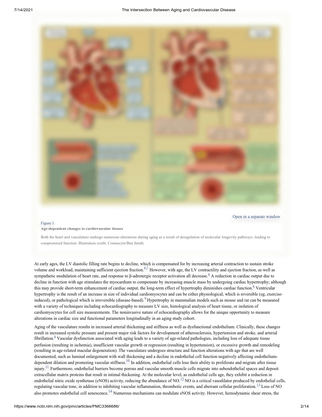 The Intersection Between Aging and Cardiovascular Disease.pdf_dtz77hhukmx_page2