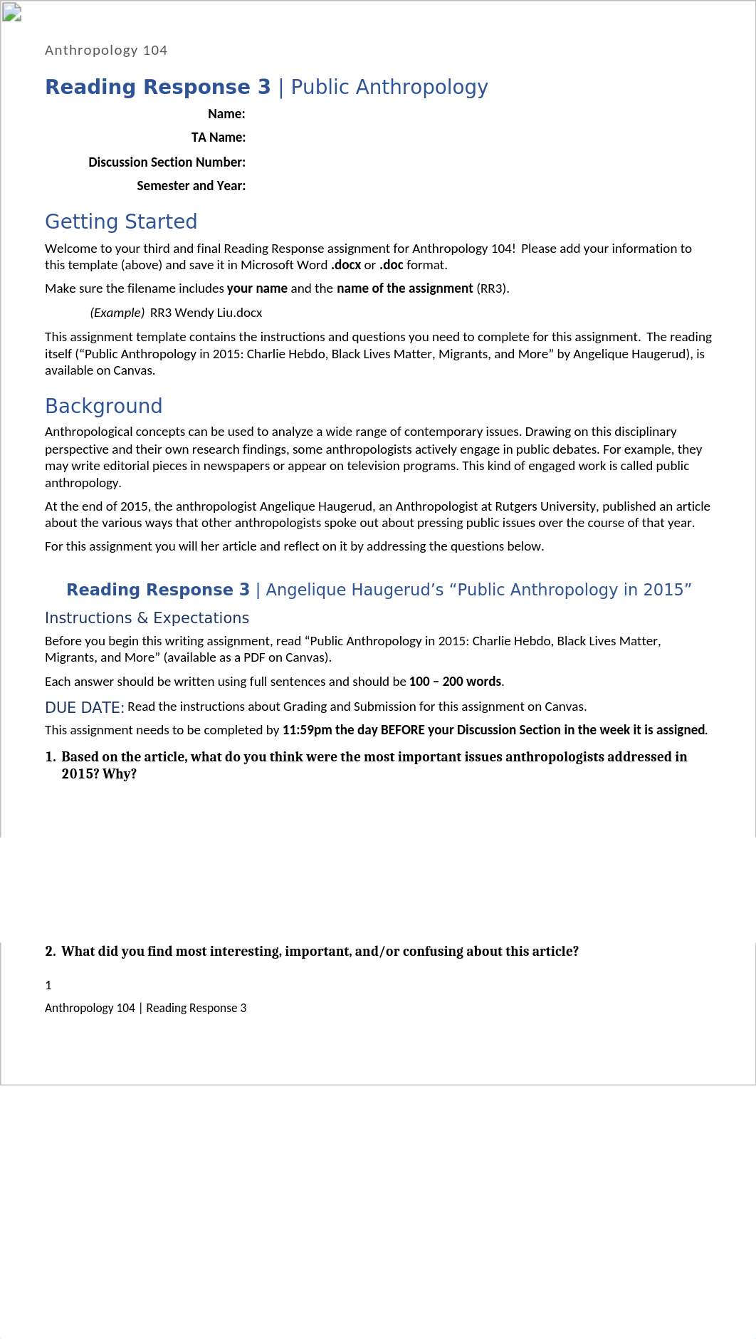 RR3 Public Anthropology TEMPLATE.docx_dtzigm7ys9g_page1