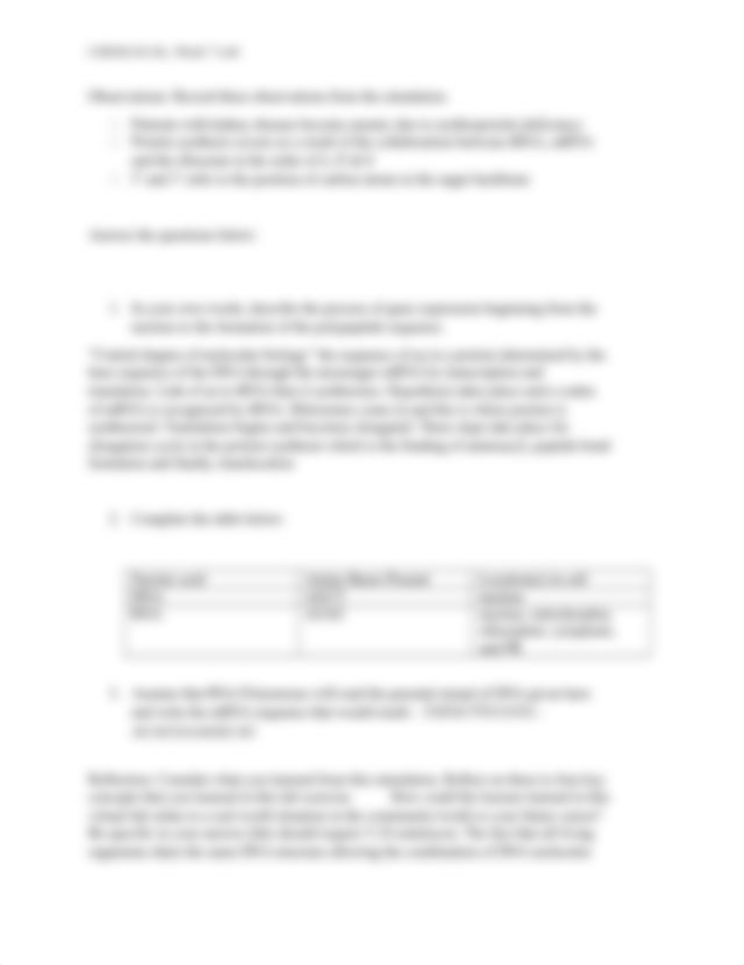 ChemWk7OL Lab 13- Protein Synthesis.docx_dtzkgv4iqf6_page2